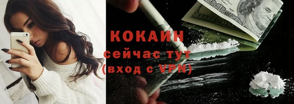 Альфа ПВП Бородино