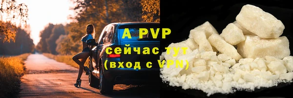Альфа ПВП Бородино