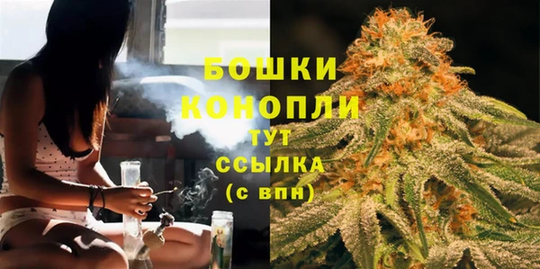 Альфа ПВП Бородино
