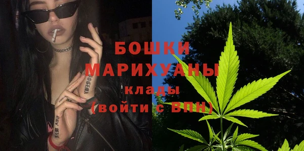 Альфа ПВП Бородино