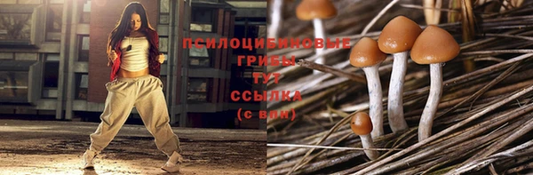 Альфа ПВП Бородино